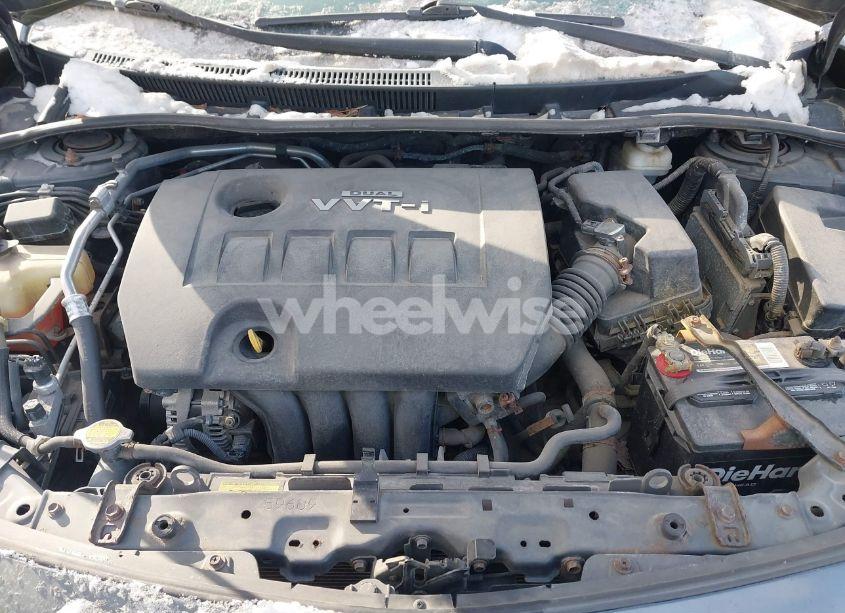 Photo 10 of 2010 Toyota Corolla LE (VIN 2T1BU4EE6AC525970)