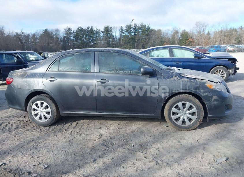 Photo 13 of 2010 Toyota Corolla LE (VIN 2T1BU4EE6AC525970)