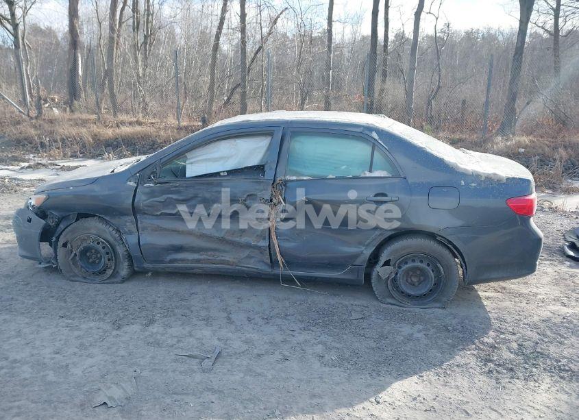 Photo 14 of 2010 Toyota Corolla LE (VIN 2T1BU4EE6AC525970)