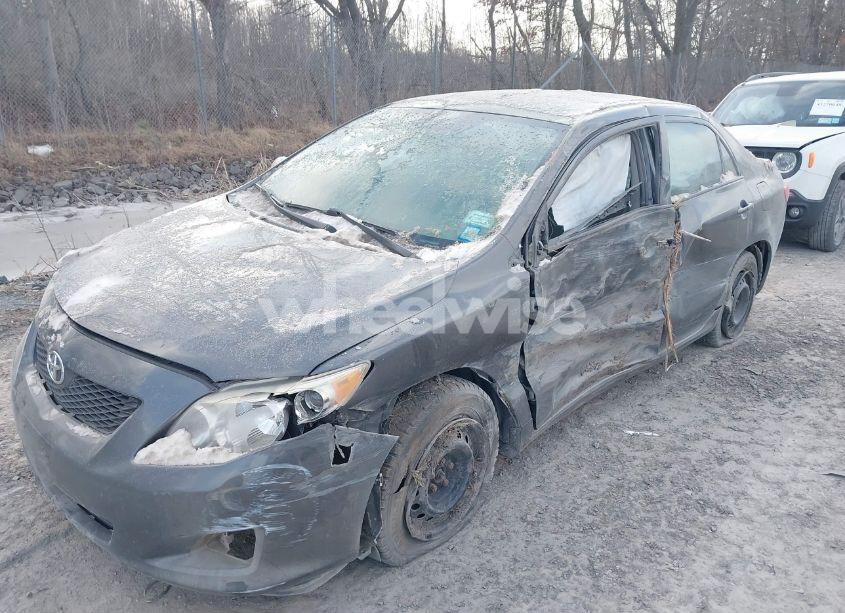 Photo 6 of 2010 Toyota Corolla LE (VIN 2T1BU4EE6AC525970)