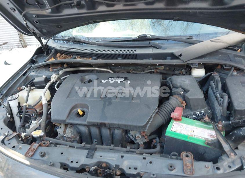 Photo 10 of 2010 Toyota Corolla LE (VIN 2T1BU4EE6AC528836)