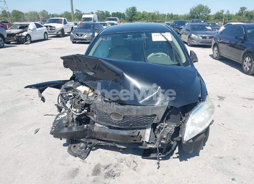 Photo 12 of 2010 Toyota Corolla LE (VIN 2T1BU4EE6AC533356)