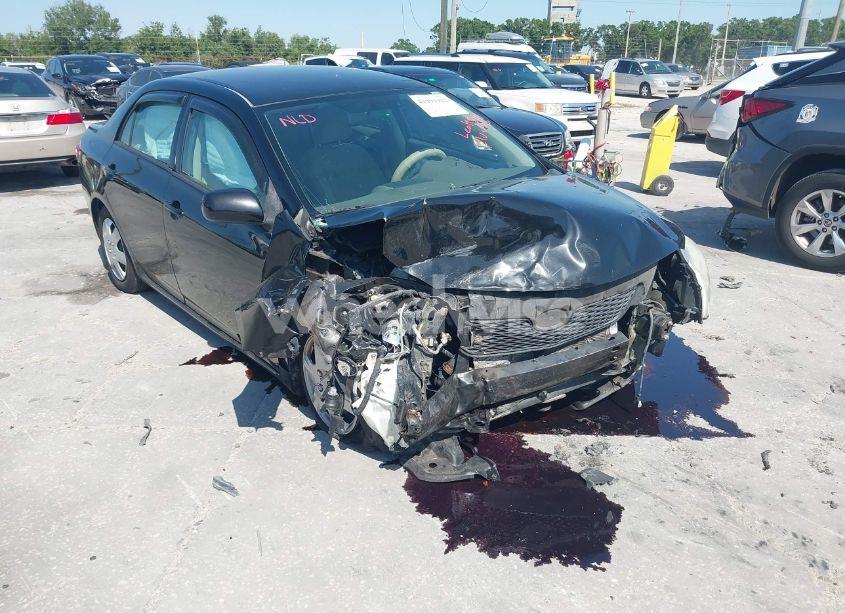 Photo 6 of 2010 Toyota Corolla LE (VIN 2T1BU4EE6AC533356)