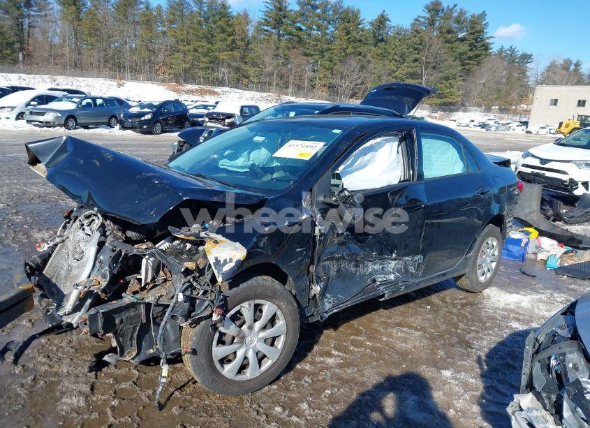 Photo 2 of 2011 Toyota Corolla LE (VIN 2T1BU4EE6BC606131)