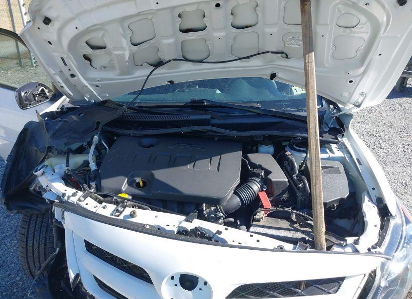 Photo 10 of 2011 Toyota Corolla S (VIN 2T1BU4EE6BC620787)