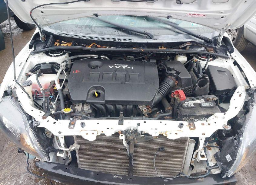 Photo 10 of 2010 Toyota Corolla S (VIN 2T1BU4EE7AC244213)