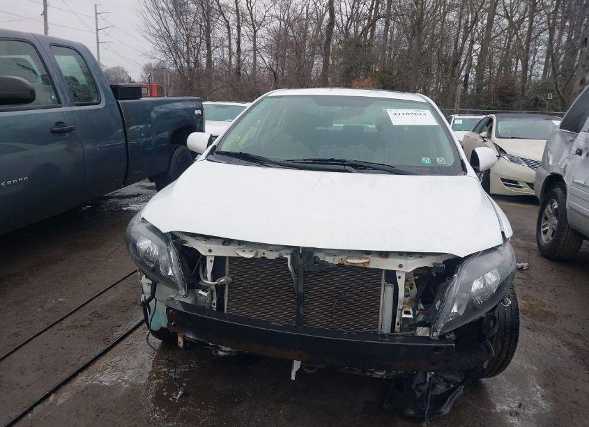 Photo 12 of 2010 Toyota Corolla S (VIN 2T1BU4EE7AC244213)