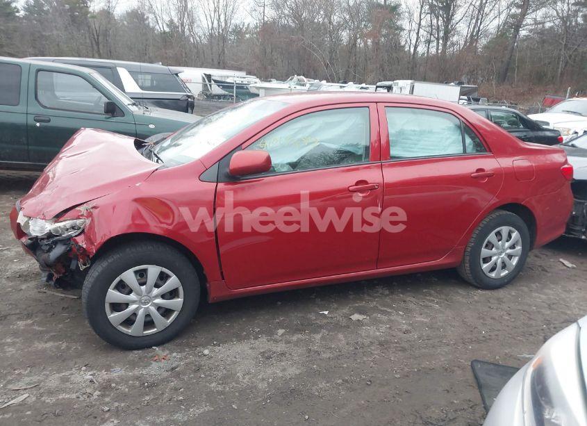 Photo 14 of 2010 Toyota Corolla LE (VIN 2T1BU4EE7AC246902)