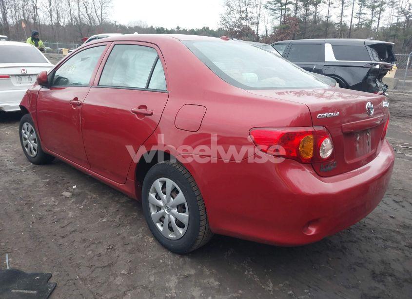Photo 3 of 2010 Toyota Corolla LE (VIN 2T1BU4EE7AC246902)