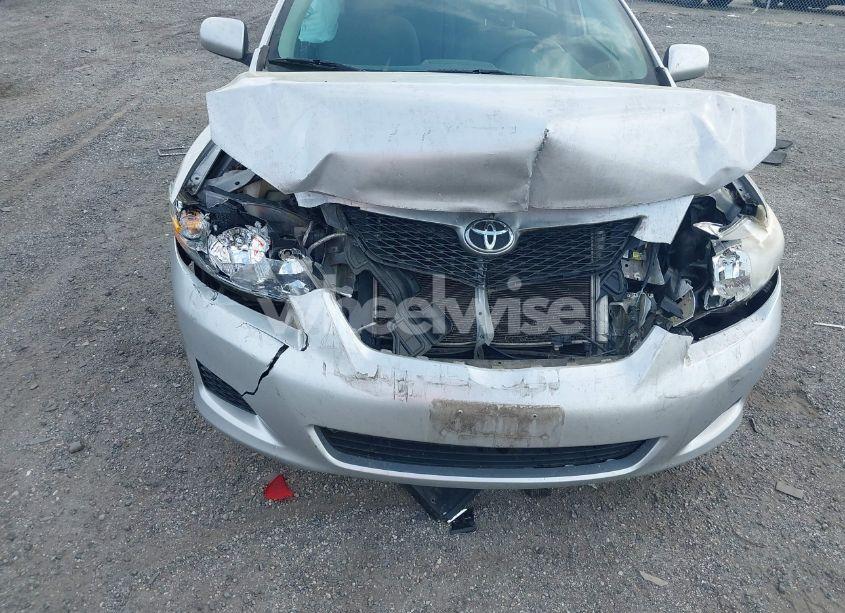 Photo 6 of 2010 Toyota Corolla LE (VIN 2T1BU4EE7AC258404)