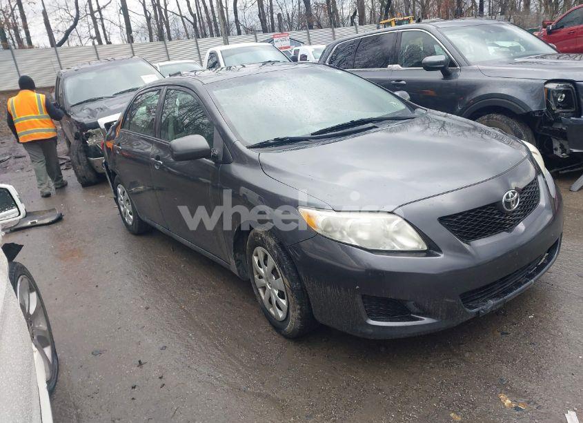 2010 Toyota Corolla LE (VIN 2T1BU4EE7AC261836) main photo
