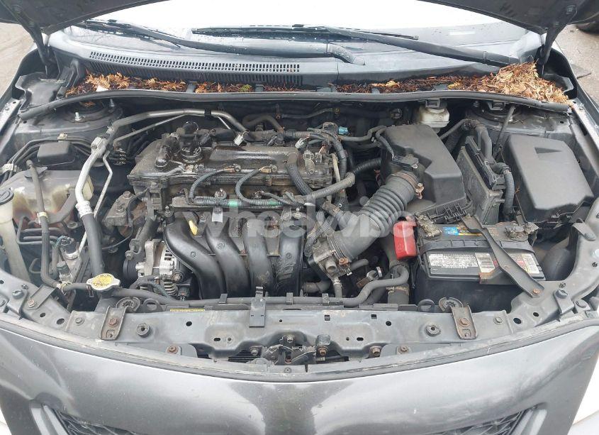 Photo 10 of 2010 Toyota Corolla LE (VIN 2T1BU4EE7AC261836)