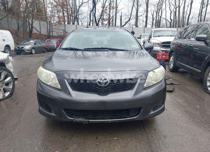 Photo 13 of 2010 Toyota Corolla LE (VIN 2T1BU4EE7AC261836)