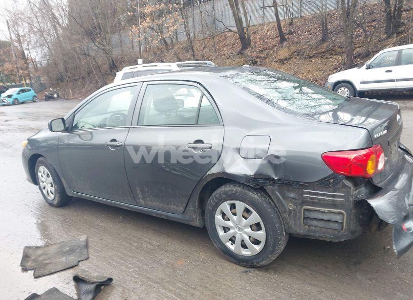 Photo 15 of 2010 Toyota Corolla LE (VIN 2T1BU4EE7AC261836)