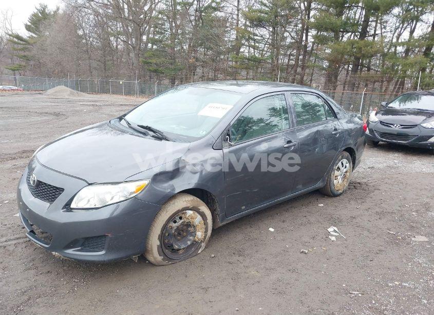 Photo 2 of 2010 Toyota Corolla LE (VIN 2T1BU4EE7AC280936)