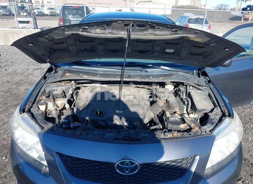 Photo 10 of 2010 Toyota Corolla LE (VIN 2T1BU4EE7AC285392)