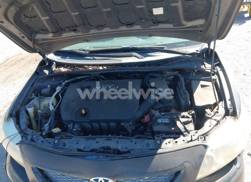 Photo 10 of 2010 Toyota Corolla LE (VIN 2T1BU4EE7AC295498)