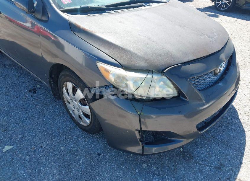 Photo 6 of 2010 Toyota Corolla LE (VIN 2T1BU4EE7AC295498)