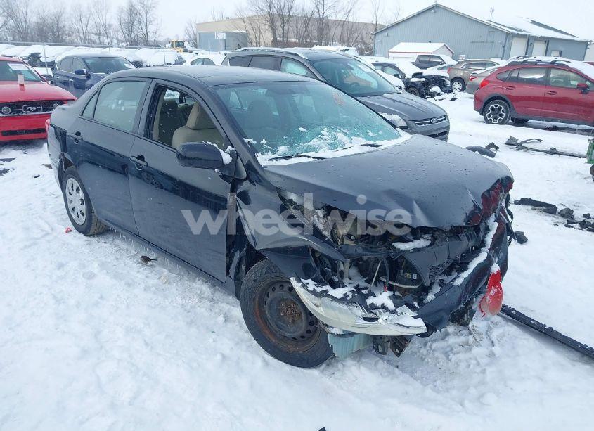 2010 Toyota Corolla LE (VIN 2T1BU4EE7AC316513) main photo
