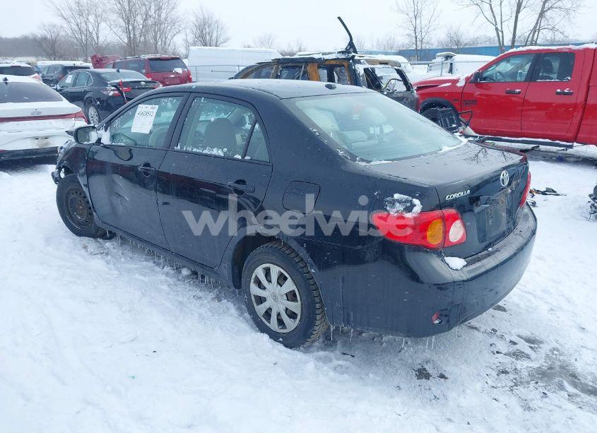 Photo 3 of 2010 Toyota Corolla LE (VIN 2T1BU4EE7AC316513)