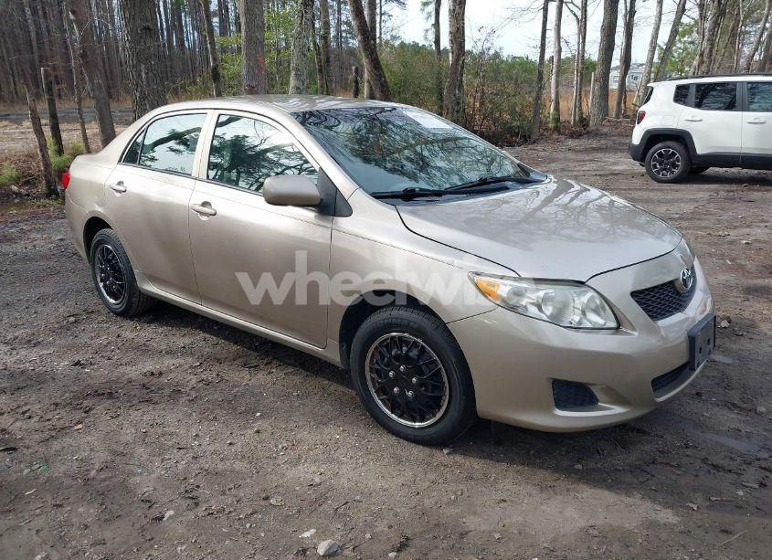 2010 Toyota Corolla LE (VIN 2T1BU4EE7AC324837) main photo