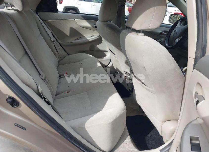 Photo 8 of 2010 Toyota Corolla LE (VIN 2T1BU4EE7AC324837)