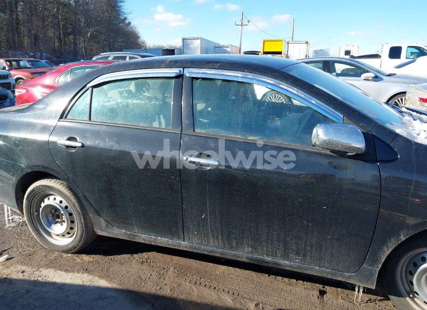 Photo 14 of 2010 Toyota Corolla (VIN 2T1BU4EE7AC335529)