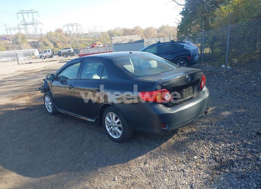 Photo 3 of 2010 Toyota Corolla S (VIN 2T1BU4EE7AC337636)