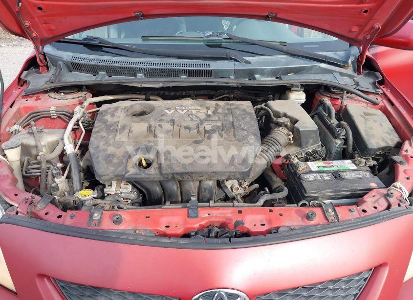 Photo 10 of 2010 Toyota Corolla LE (VIN 2T1BU4EE7AC340729)