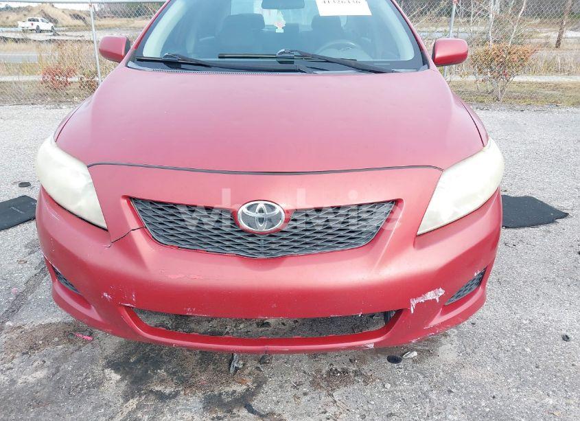 Photo 6 of 2010 Toyota Corolla LE (VIN 2T1BU4EE7AC340729)