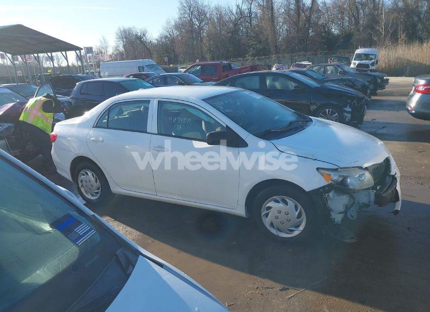 Photo 14 of 2010 Toyota Corolla LE (VIN 2T1BU4EE7AC351892)