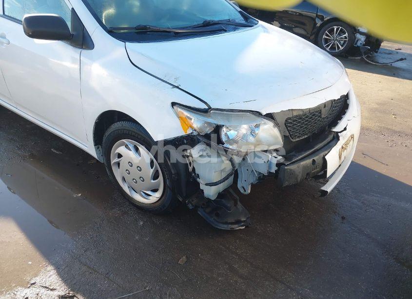 Photo 18 of 2010 Toyota Corolla LE (VIN 2T1BU4EE7AC351892)