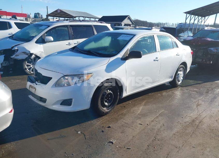 Photo 2 of 2010 Toyota Corolla LE (VIN 2T1BU4EE7AC351892)