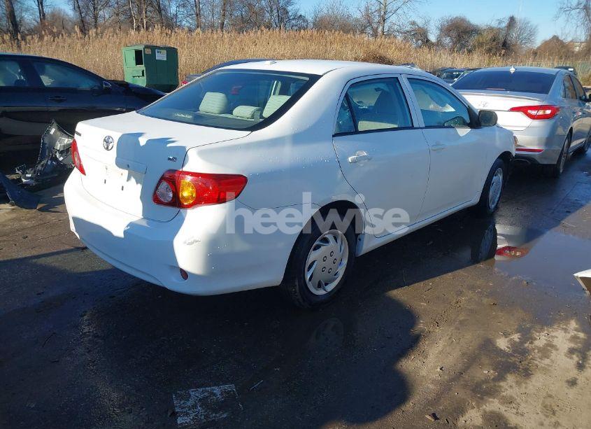 Photo 4 of 2010 Toyota Corolla LE (VIN 2T1BU4EE7AC351892)