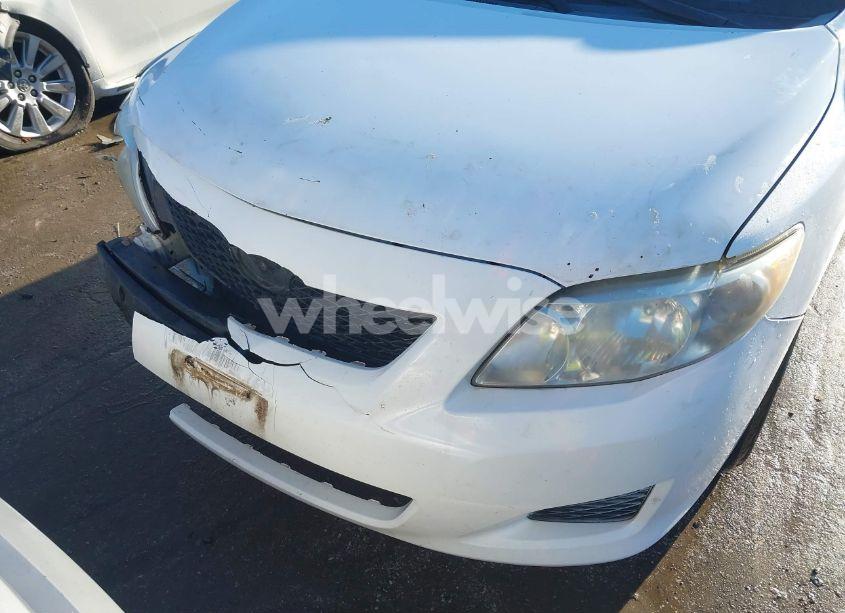 Photo 6 of 2010 Toyota Corolla LE (VIN 2T1BU4EE7AC351892)