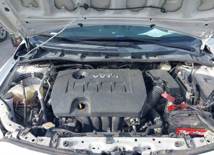 Photo 10 of 2010 Toyota Corolla S (VIN 2T1BU4EE7AC362097)