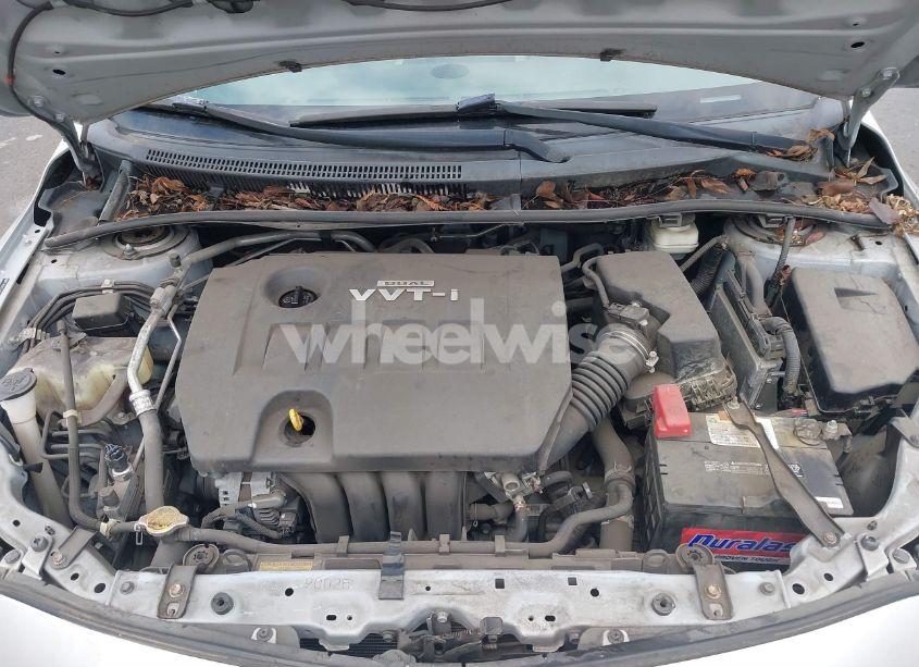 Photo 10 of 2010 Toyota Corolla LE (VIN 2T1BU4EE7AC364397)