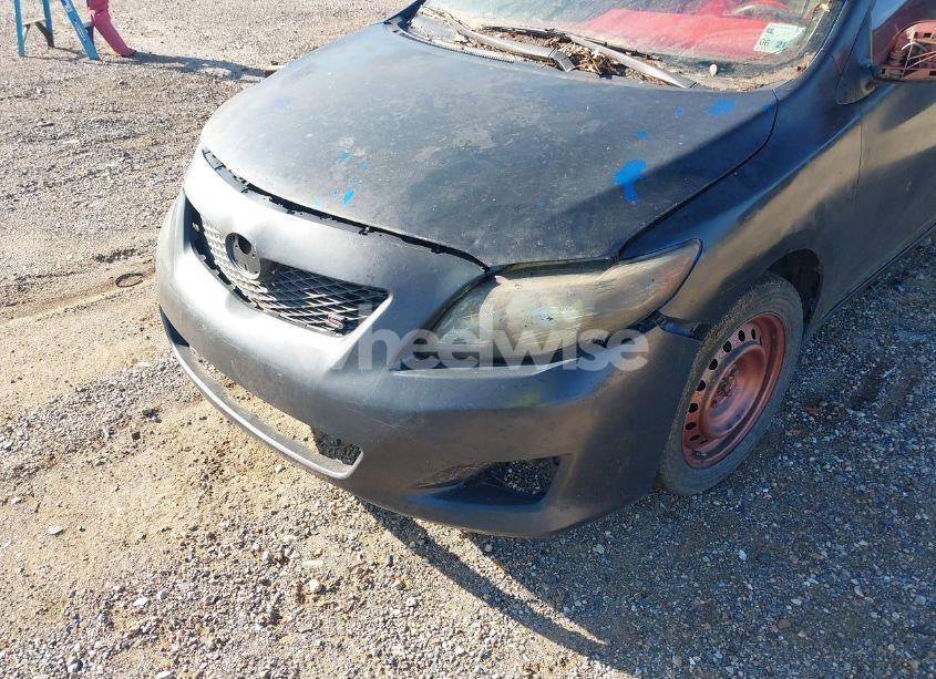 Photo 12 of 2010 Toyota Corolla LE (VIN 2T1BU4EE7AC379580)