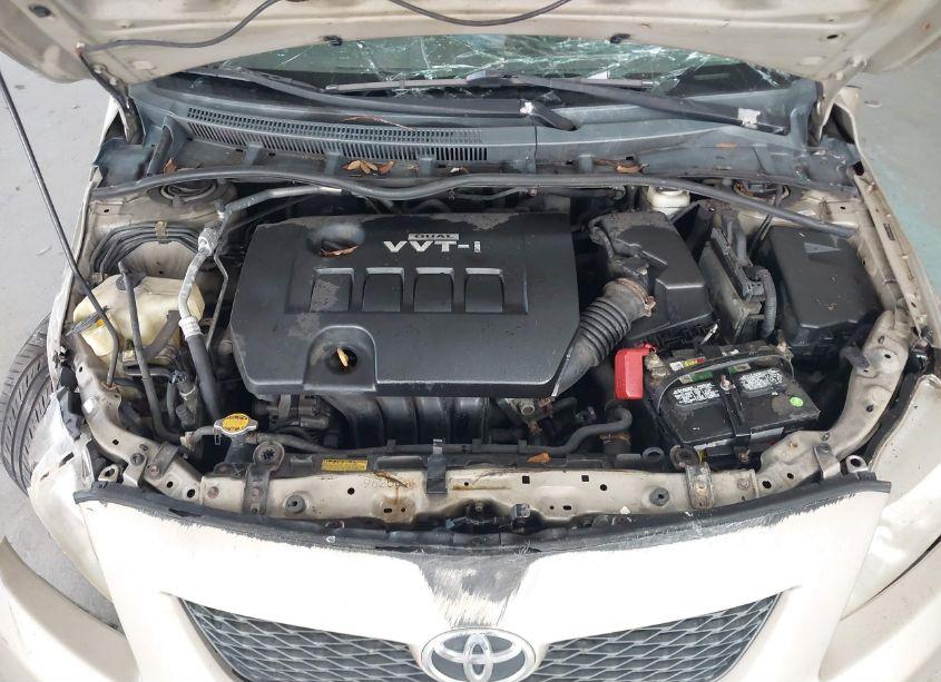 Photo 10 of 2010 Toyota Corolla LE (VIN 2T1BU4EE7AC416952)