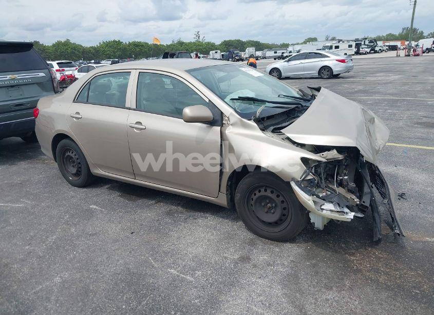 2010 Toyota Corolla LE (VIN 2T1BU4EE7AC422945) main photo