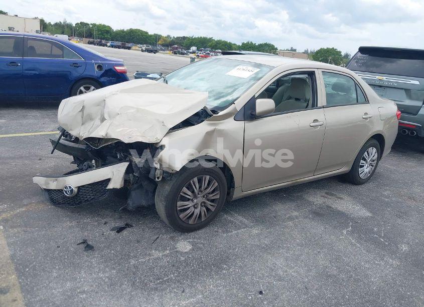 Photo 2 of 2010 Toyota Corolla LE (VIN 2T1BU4EE7AC422945)