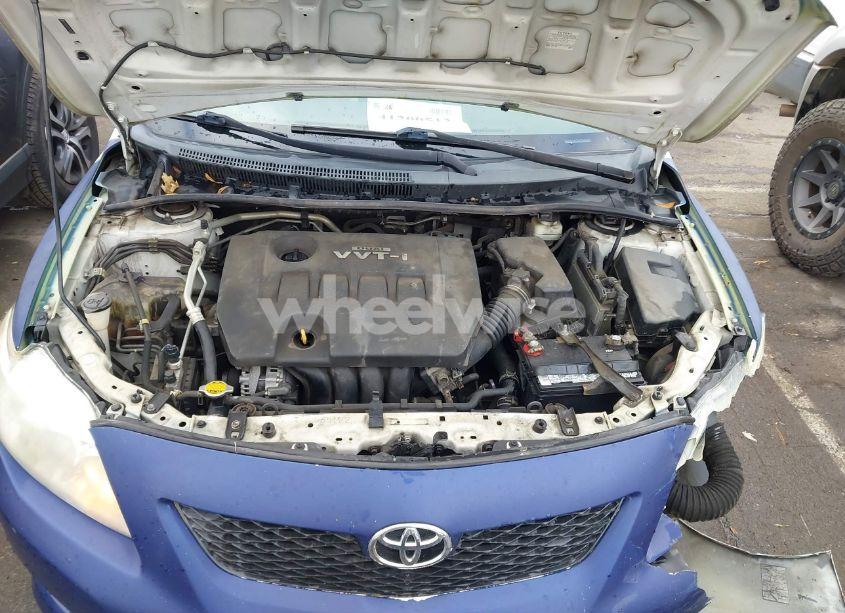 Photo 10 of 2010 Toyota Corolla LE (VIN 2T1BU4EE7AC435081)