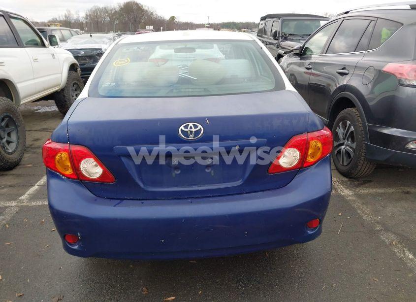 Photo 16 of 2010 Toyota Corolla LE (VIN 2T1BU4EE7AC435081)