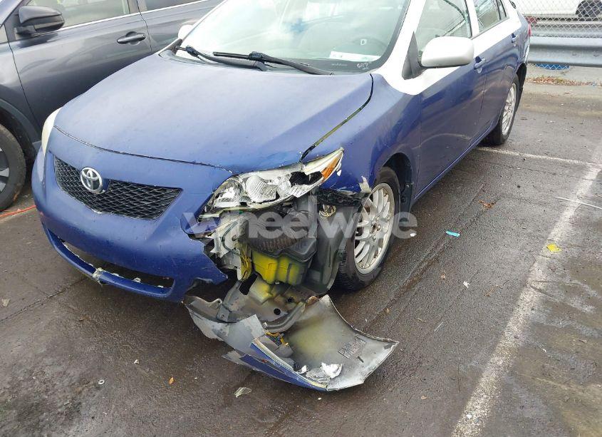 Photo 6 of 2010 Toyota Corolla LE (VIN 2T1BU4EE7AC435081)