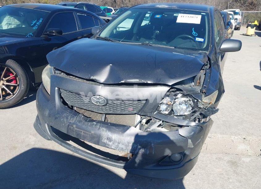 Photo 6 of 2010 Toyota Corolla S (VIN 2T1BU4EE7AC453547)