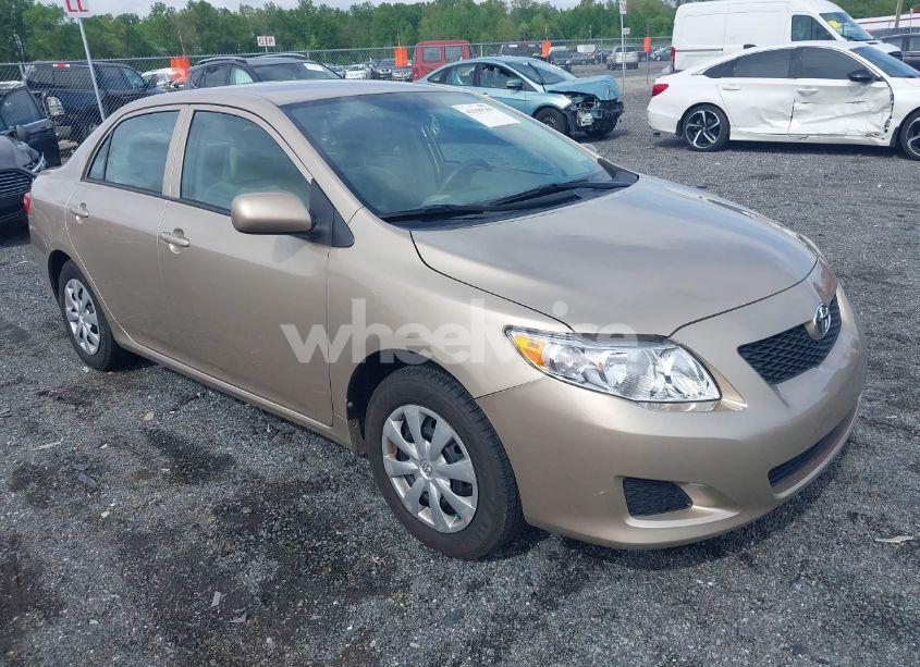 2010 Toyota Corolla LE (VIN 2T1BU4EE7AC471790) main photo