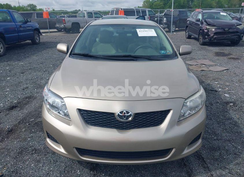 Photo 12 of 2010 Toyota Corolla LE (VIN 2T1BU4EE7AC471790)