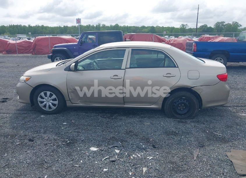 Photo 14 of 2010 Toyota Corolla LE (VIN 2T1BU4EE7AC471790)