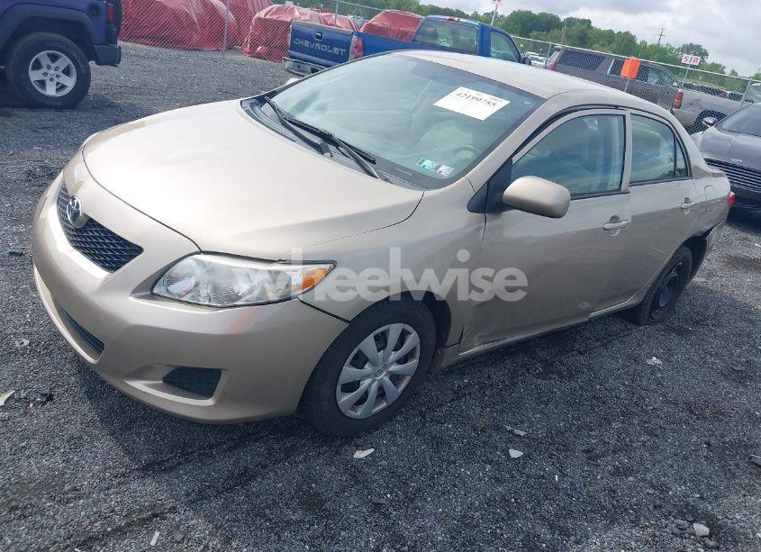 Photo 2 of 2010 Toyota Corolla LE (VIN 2T1BU4EE7AC471790)