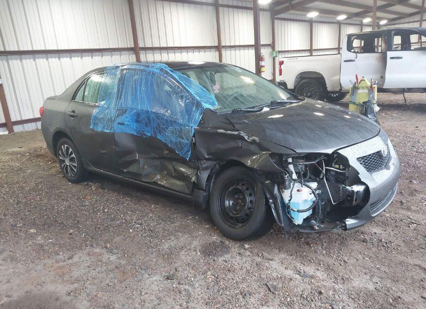 2010 Toyota Corolla LE (VIN 2T1BU4EE7AC487715) main photo